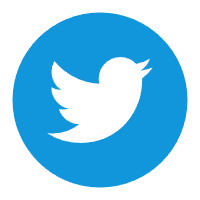 Twitter 老账号，注册于 2009-2020 年，已通过包含邮箱密码的邮箱验证 (hotmail.com/mail.tm)，已启用双重验证，包含令牌